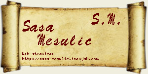 Saša Mesulić vizit kartica
